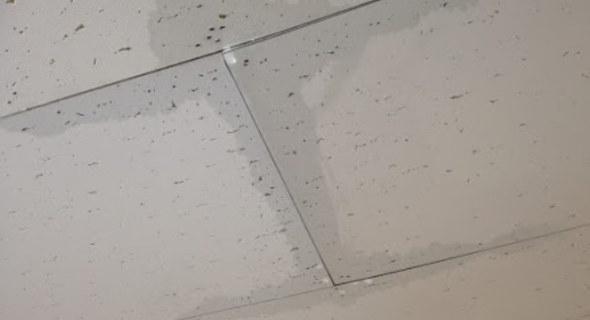 雨もりの画像
